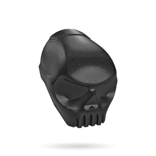 Infamous 170R Skull Back Cap
