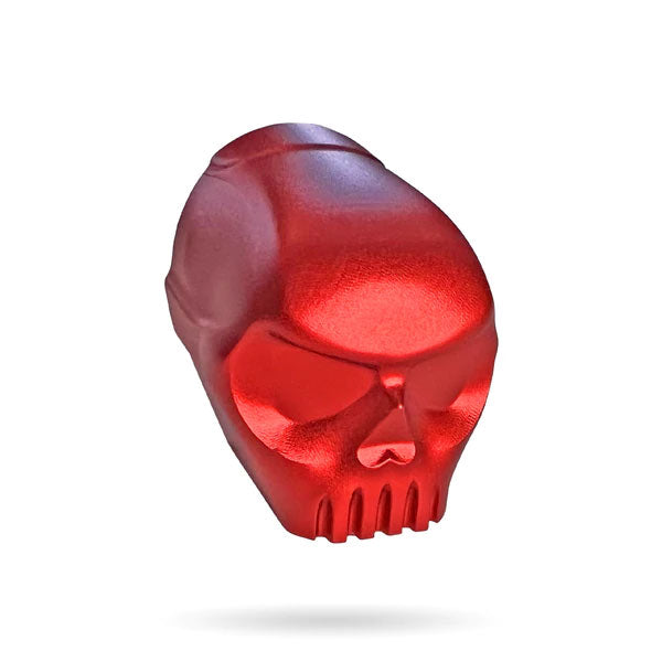Infamous 170R Skull Back Cap